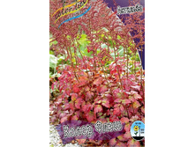 78,97���. �������� ����� ���� ����� (�������� ���� �� 3 ��., ����������� ����� 1��.).jpg