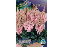 78,97���. �������� ������� (�������� ���� �� 3 ��., ����������� ����� 1��.).jpg