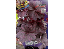 167,3���. ������� ������ (�������� ���� �� 2 ��., ����������� ����� 1��.).jpg