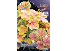 177,2���. ������� �������� (�������� ���� �� 2 ��., ����������� ����� 1��.).jpg