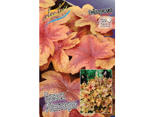 177,2���. ���������� ����� ������� (�������� ���� �� 2 ��., ����������� ����� 1��.).jpg