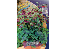 44,4���. �������� ������� (�������� ���� �� 3 ��., ����������� ����� 1��.).jpg