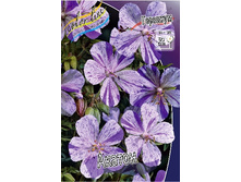 57,23���. �������� ������ (�������� ���� �� 3 ��., ����������� ����� 1��.).jpg