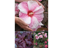 147,55���.�������� ��������� ������ ���� (�������� ���� �� 2 ��., ����������� ����� 1��.).jpg