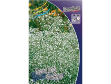 68,1���. ��������� ������� ���� (�������� ���� �� 3 ��., ����������� ����� 1��.).jpg