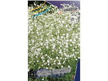 78,97���. ��������� ����� ������� (�������� ���� �� 3 ��., ����������� ����� 1��.).jpg