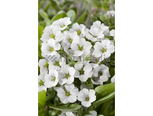 86,87���. ��������� ����� ����� (�������� ���� �� 3 ��., ����������� ����� 1��.).jpg