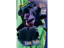 55,47���.���� ���������� ���� ���� (�������� ���� �� 3 ��., ����������� ����� 1��.).jpg