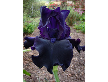 55,47���.���� ���������� �������� (�������� ���� �� 3 ��., ����������� ����� 1��.).jpg