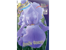 55,47���.���� ���������� ����� ������ (�������� ���� �� 3 ��., ����������� ����� 1��.).jpg