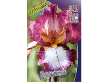 55,47���.���� ���������� �������� (�������� ���� �� 3 ��., ����������� ����� 1��.).jpg