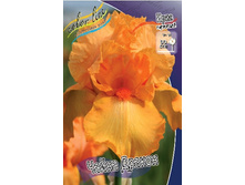 55,47���.���� ���������� ����� ������ (�������� ���� �� 3 ��., ����������� ����� 1��.).jpg