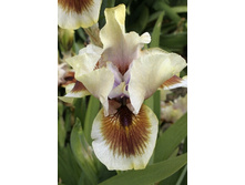 62,17���.���� ���������� ���� �� (�������� ���� �� 3 ��., ����������� ����� 1��.).jpg