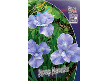 37,5���.���� ��������� ���� ������ (�������� ���� �� 3 ��., ����������� ����� 1��.).jpg