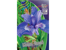 37,5���.���� ��������� ����� ����� (�������� ���� �� 3 ��., ����������� ����� 1��.).jpg