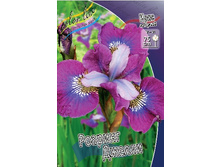 37,5���.���� ��������� ������� ������ (�������� ���� �� 3 ��., ����������� ����� 1��.).jpg