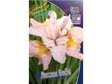 50,33���.���� ��������� ����� ���� (�������� ���� �� 3 ��., ����������� ����� 1��.).jpg