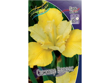 50,33���.���� ��������� ������ ������ (�������� ���� �� 3 ��., ����������� ����� 1��.).jpg