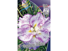 65,13���.���� �������� ������ ����� (�������� ���� �� 3 ��., ����������� ����� 1��.).jpg