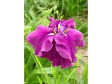 91,8���.���� �������� ��� ��� (�������� ���� �� 3 ��., ����������� ����� 1��.).jpg