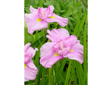 91,8���.���� �������� ���������� (�������� ���� �� 3 ��., ����������� ����� 1��.).jpg