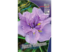 91,8���.���� �������� ����� �������� (�������� ���� �� 3 ��., ����������� ����� 1��.).jpg