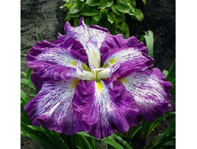 116,47���.���� �������� ����� �� ��� (�������� ���� �� 3 ��., ����������� ����� 1��.).jpg