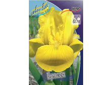 38,9���.���� ������ (�������� ���� �� 3 ��., ����������� ����� 1��.).jpg