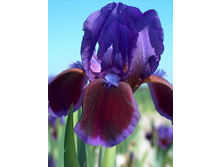 41,63���.���� ������ �� (�������� ���� �� 3 ��., ����������� ����� 1��.).jpg