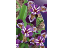 91,8���.���� ��������� ����� (�������� ���� �� 3 ��., ����������� ����� 1��.).jpg