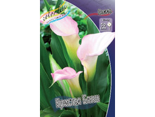 44,4���.����� ������� ���� (�������� ���� �� 3 ��., ����������� ����� 1��.).jpg