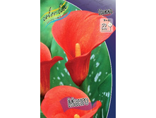 44,4���.����� ����� (�������� ���� �� 3 ��., ����������� ����� 1��.).jpg