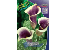 44,4���.����� ������� (�������� ���� �� 3 ��., ����������� ����� 1��.).jpg