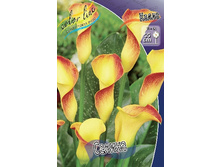 44,4���.����� ������ (�������� ���� �� 3 ��., ����������� ����� 1��.).jpg