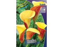 44,4���.����� ����� (�������� ���� �� 3 ��., ����������� ����� 1��.).jpg