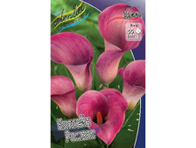 49,33���.����� ������� ������ (�������� ���� �� 3 ��., ����������� ����� 1��.).jpg