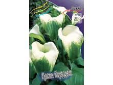 113���.����� ���� ������ (�������� ���� �� 2 ��., ����������� ����� 1��.).jpg