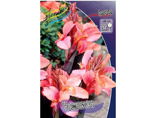 43,9���.����� (�����) ������� (�������� ���� �� 2 ��., ����������� ����� 1��.).jpg