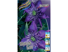 70,88���. �������� ������ ��� (�������� ���� �� 5 ��., ����������� ����� 1��.).jpg