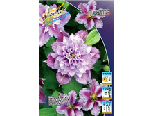 70,88���. �������� ����� (�������� ���� �� 5 ��., ����������� ����� 1��.).jpg