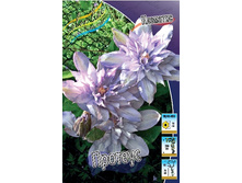 80,74���. �������� ������� (�������� ���� �� 5 ��., ����������� ����� 1��.).jpg