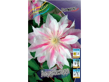 90,03���. �������� ��������� (�������� ���� �� 3 ��., ����������� ����� 1��.).jpg