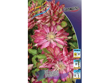 108,1���. �������� ���� (�������� ���� �� 2 ��., ����������� ����� 1��.).jpg