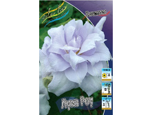 108,1���. �������� ���� ��� (�������� ���� �� 2 ��., ����������� ����� 1��.).jpg