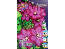 70,88���. �������� ���� �� ���� (�������� ���� �� 5 ��., ����������� ����� 1��.).jpg