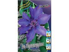 70,88���. �������� �� ��������� (�������� ���� �� 5 ��., ����������� ����� 1��.).jpg