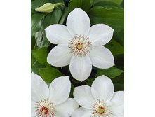 70,88���. �������� ���� ������� (�������� ���� �� 5 ��., ����������� ����� 1��.).jpg