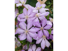 70,88���. �������� ������ ���������� (�������� ���� �� 5 ��., ����������� ����� 1��.).jpg