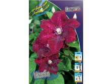 70,88���. �������� ����� (�������� ���� �� 5 ��., ����������� ����� 1��.).jpg