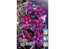 70,88���. �������� ���� �� ����� (�������� ���� �� 5 ��., ����������� ����� 1��.).jpg